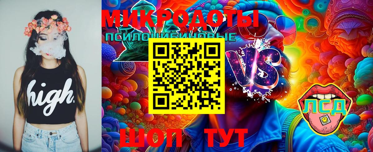 Кисловодск  Галлюциногенные грибы мухоморы  Вход с VPN 