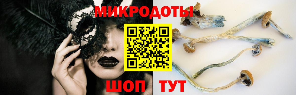 Галлюциногенные грибы мухоморы Кисловодск